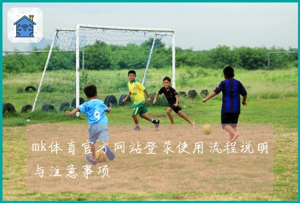mk体育官方网站登录使用流程说明与注意事项