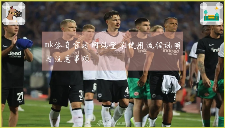 mk体育官方网站登录使用流程说明与注意事项