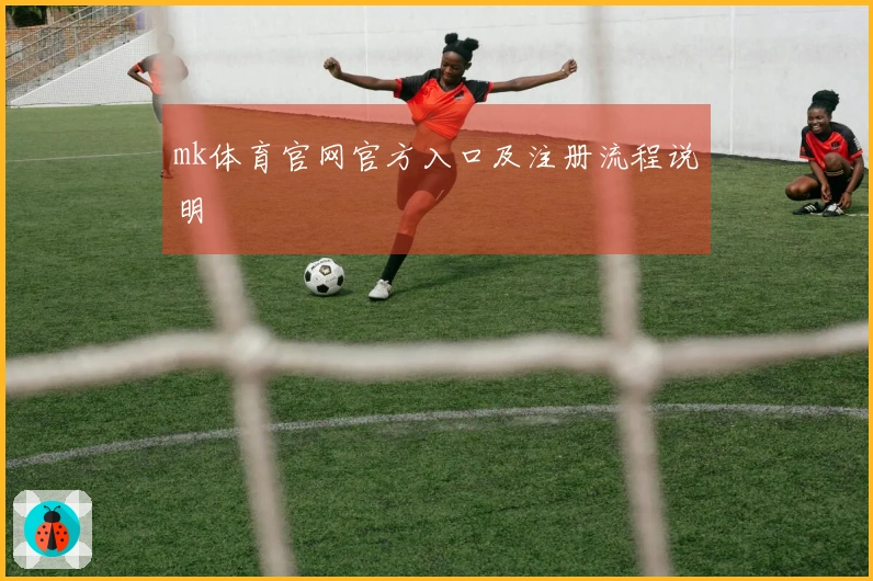 mk体育官网官方入口及注册流程说明
