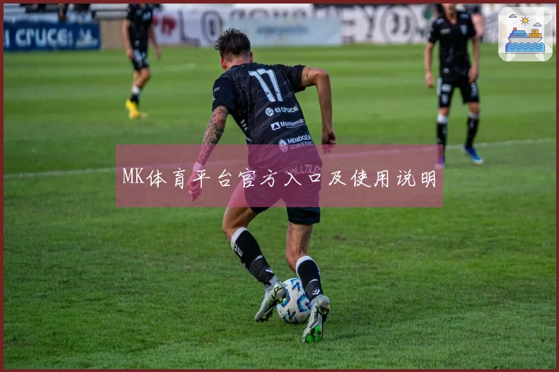 MK体育平台官方入口及使用说明