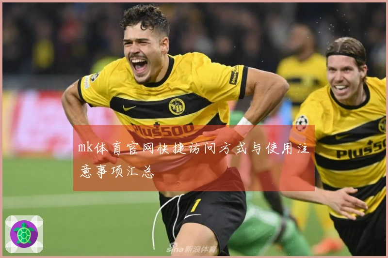 mk体育官网快捷访问方式与使用注意事项汇总